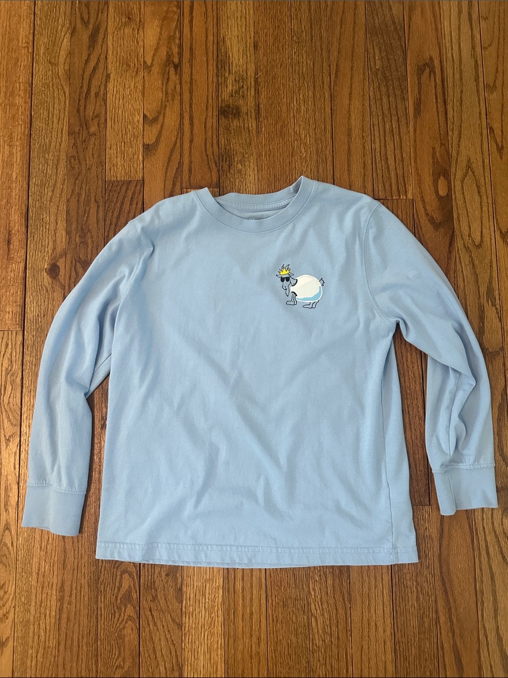 Light Blue Long Sleeve Kids Tee with Playful Bird Graphic
